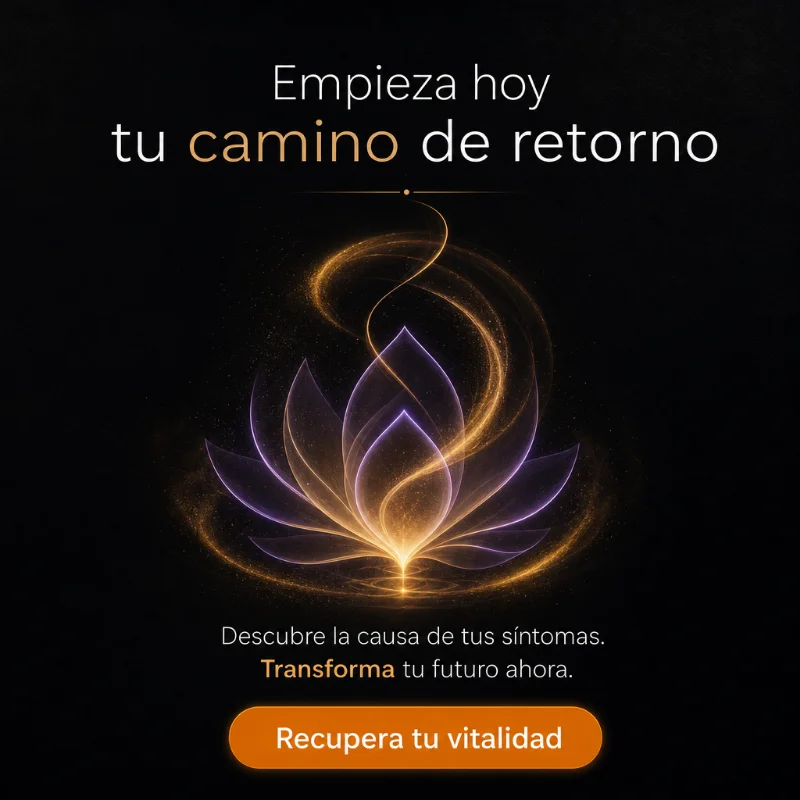 Slide 5: "Empieza hoy tu camino de retorno", con el botón "Recupera tu vitalidad"